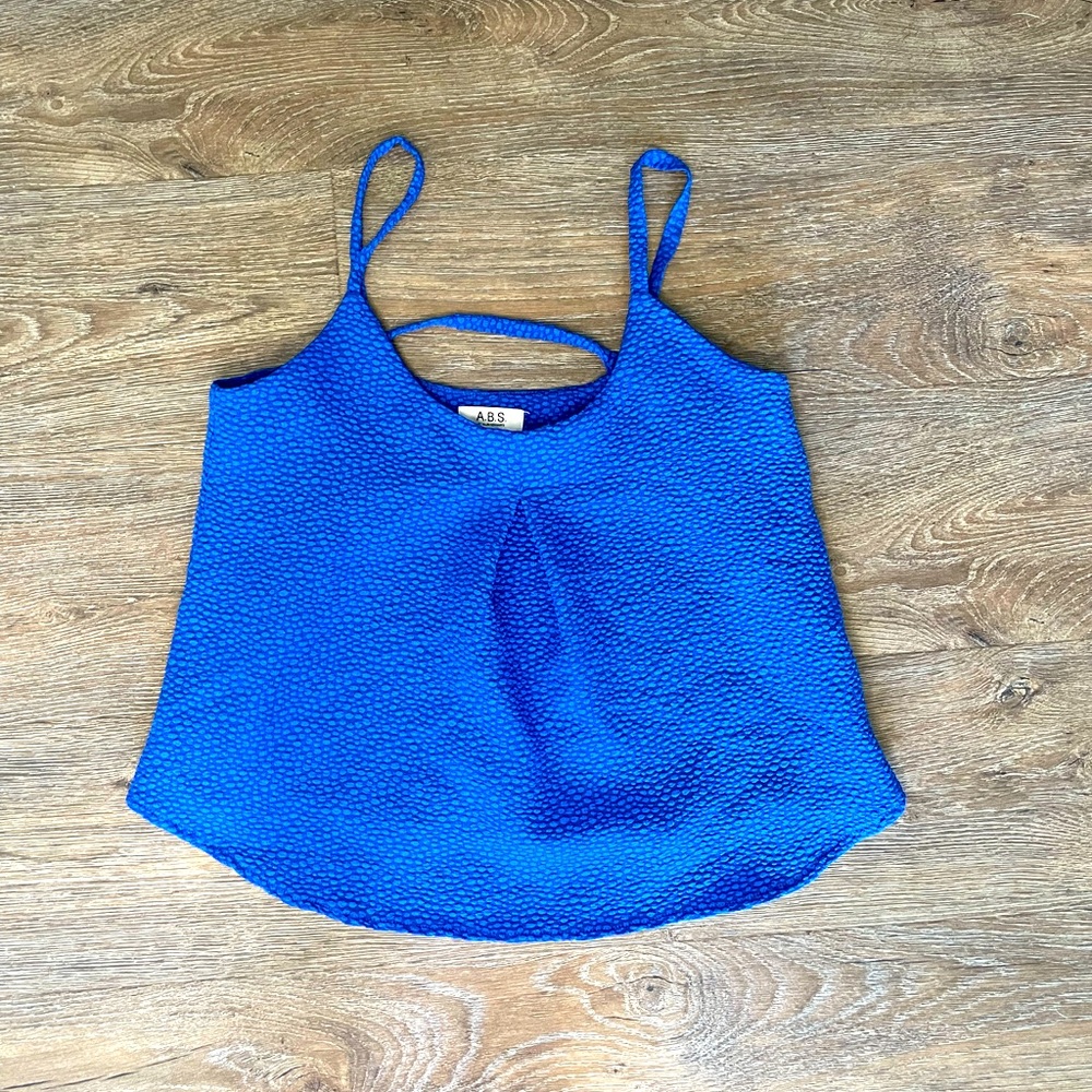 Blue Sleeveless Crop Top
